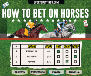 How to Bet on Horse Racing?